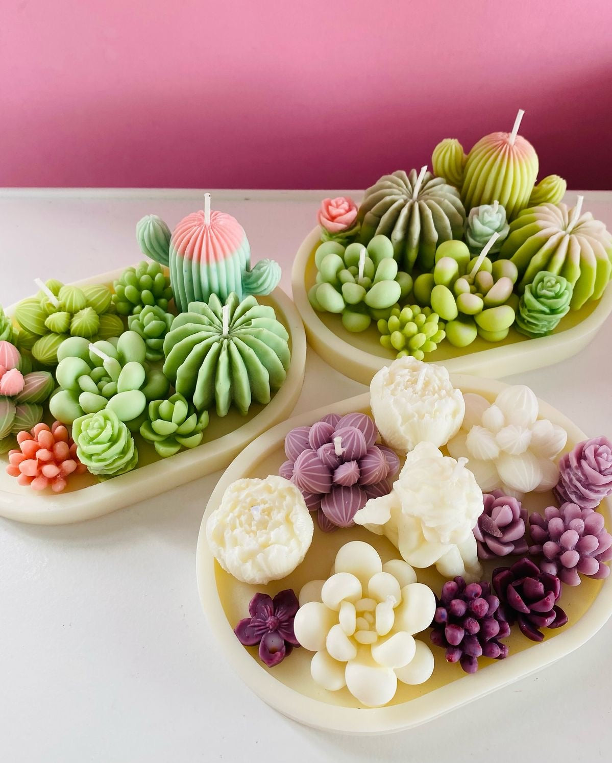 Bandeja de suculentas.