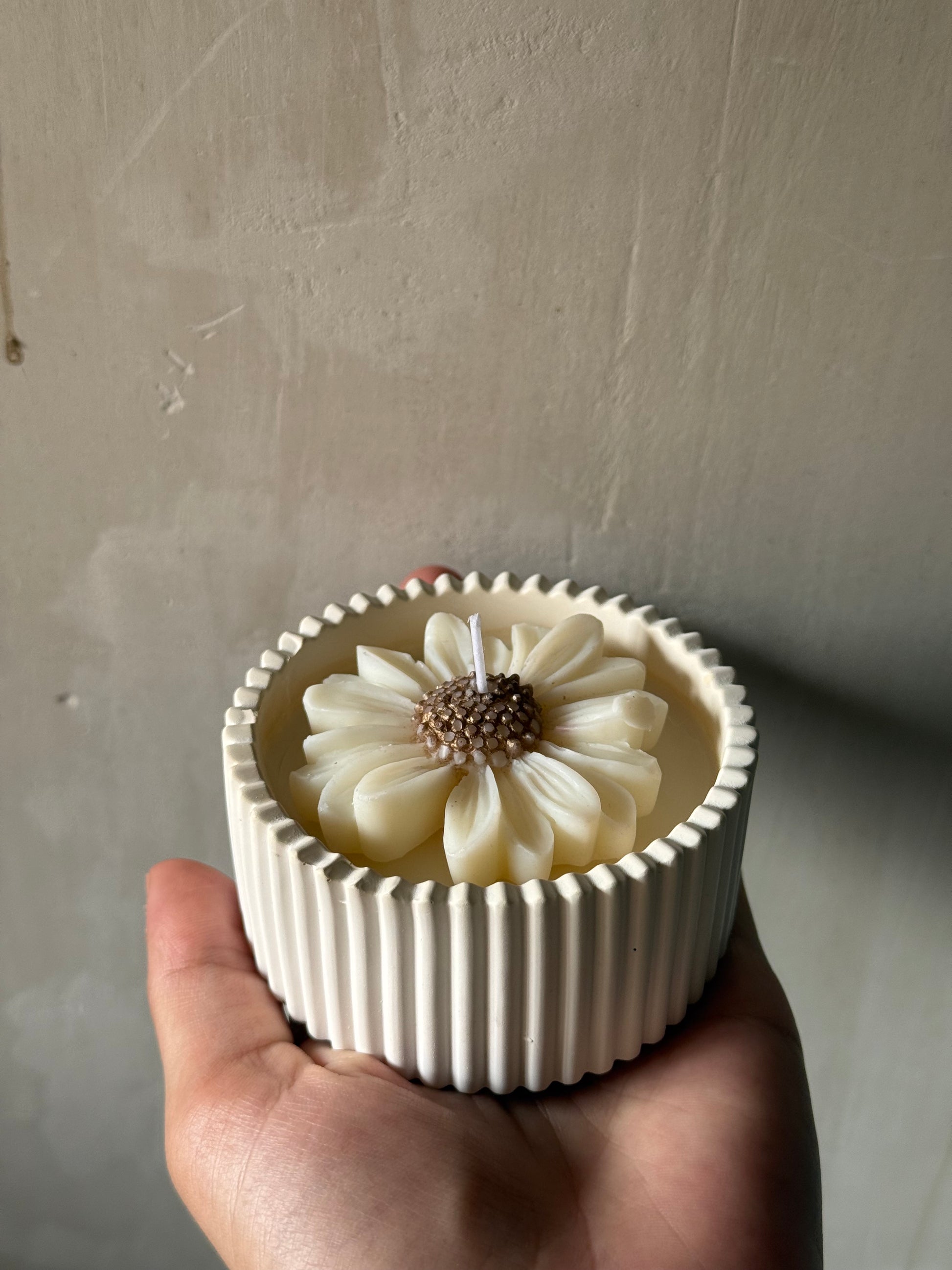 Vela de margarita