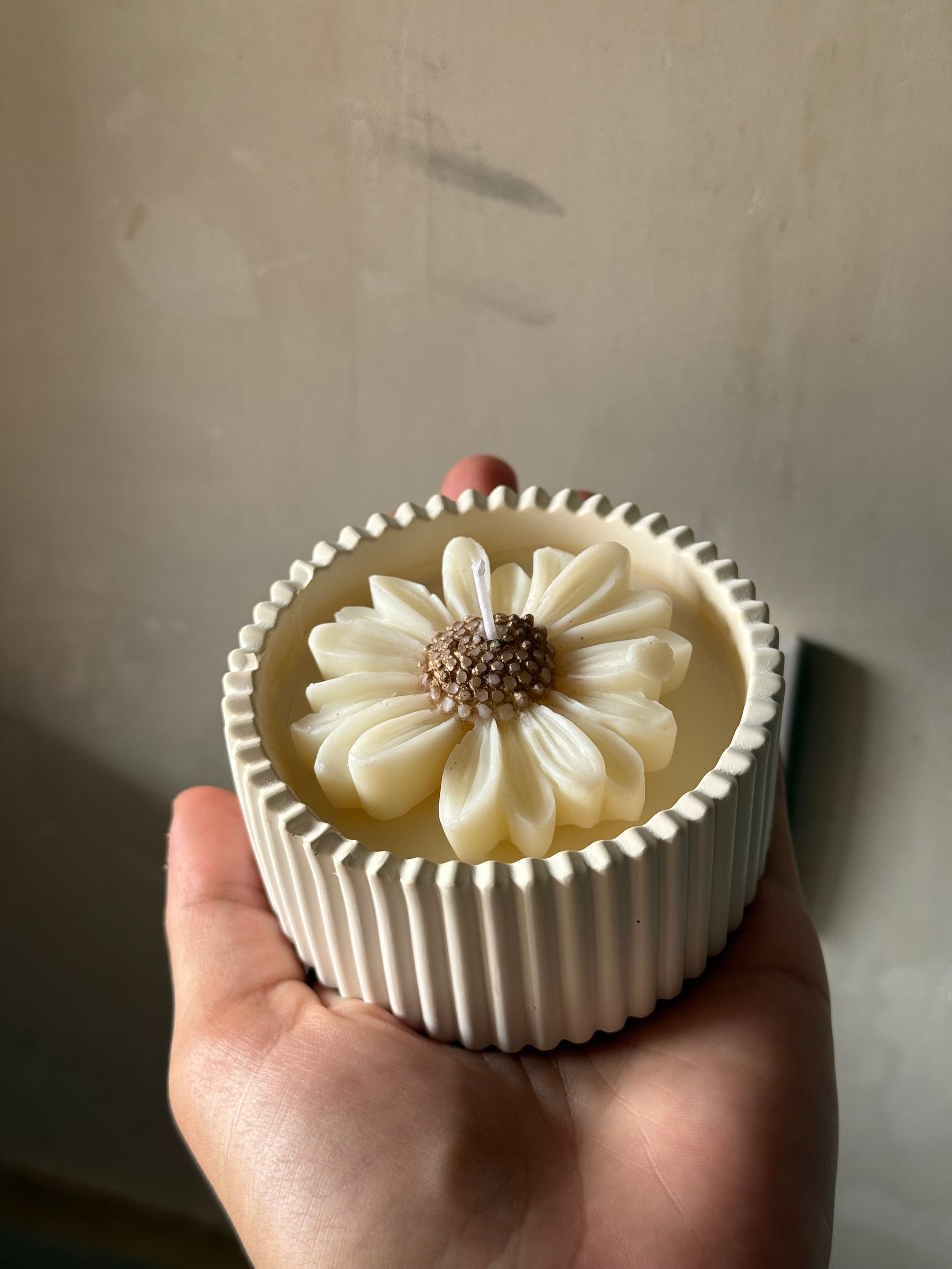 Vela de margarita