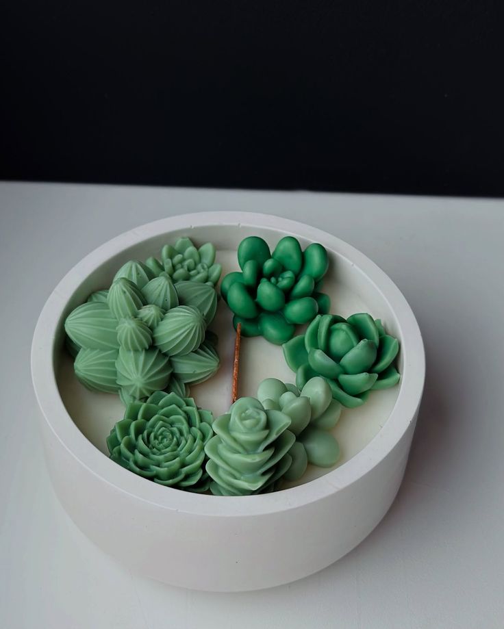 Vela de suculentas verdes.
