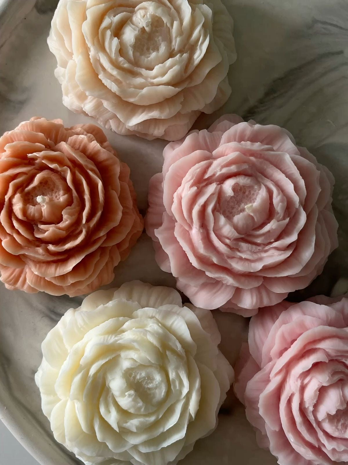 Peonías de cera de soja