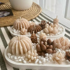 Bandeja de suculentas.