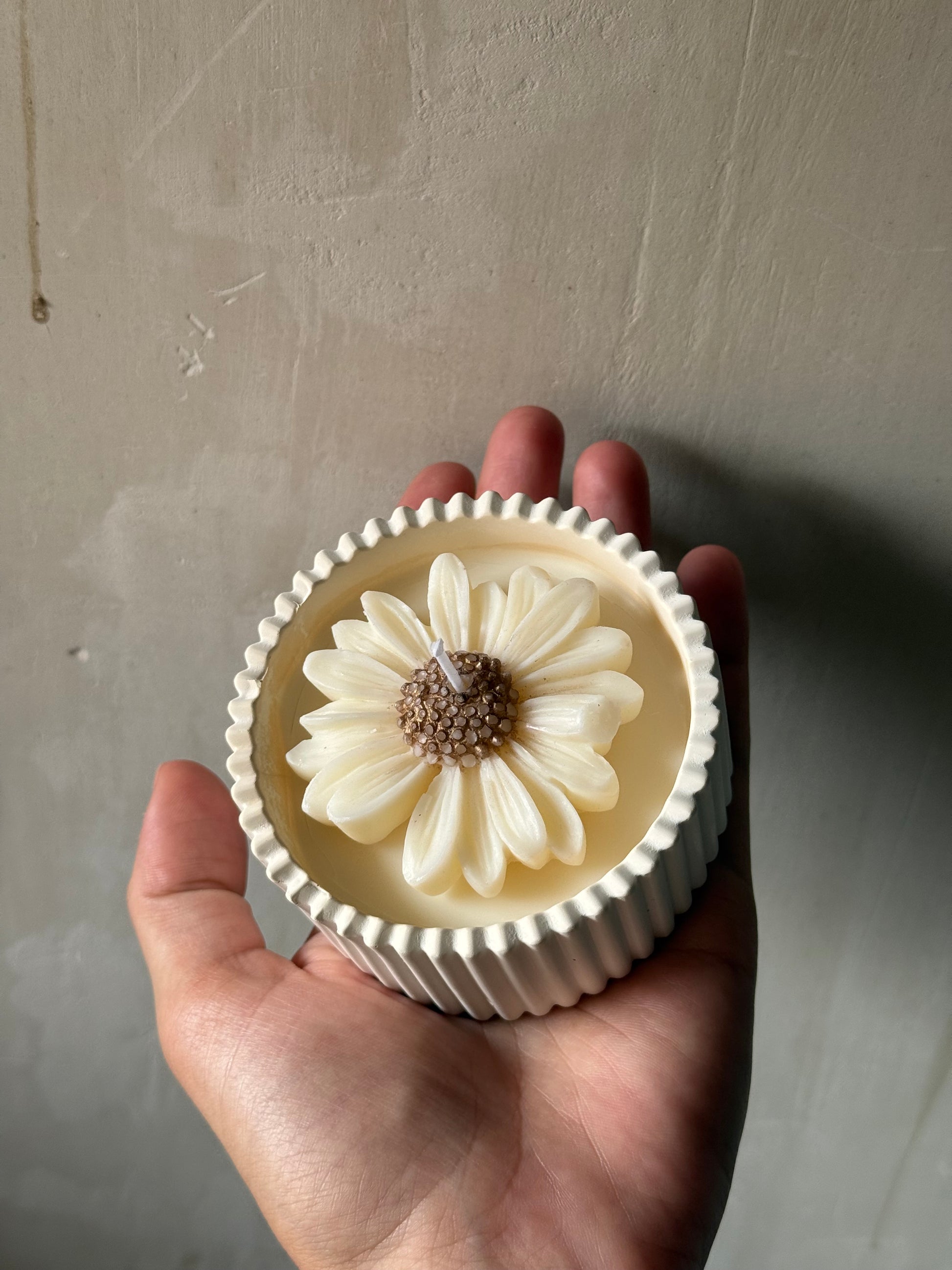 Vela de margarita