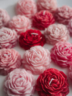 Peonías de cera de soja