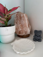 Joyero con forma de concha