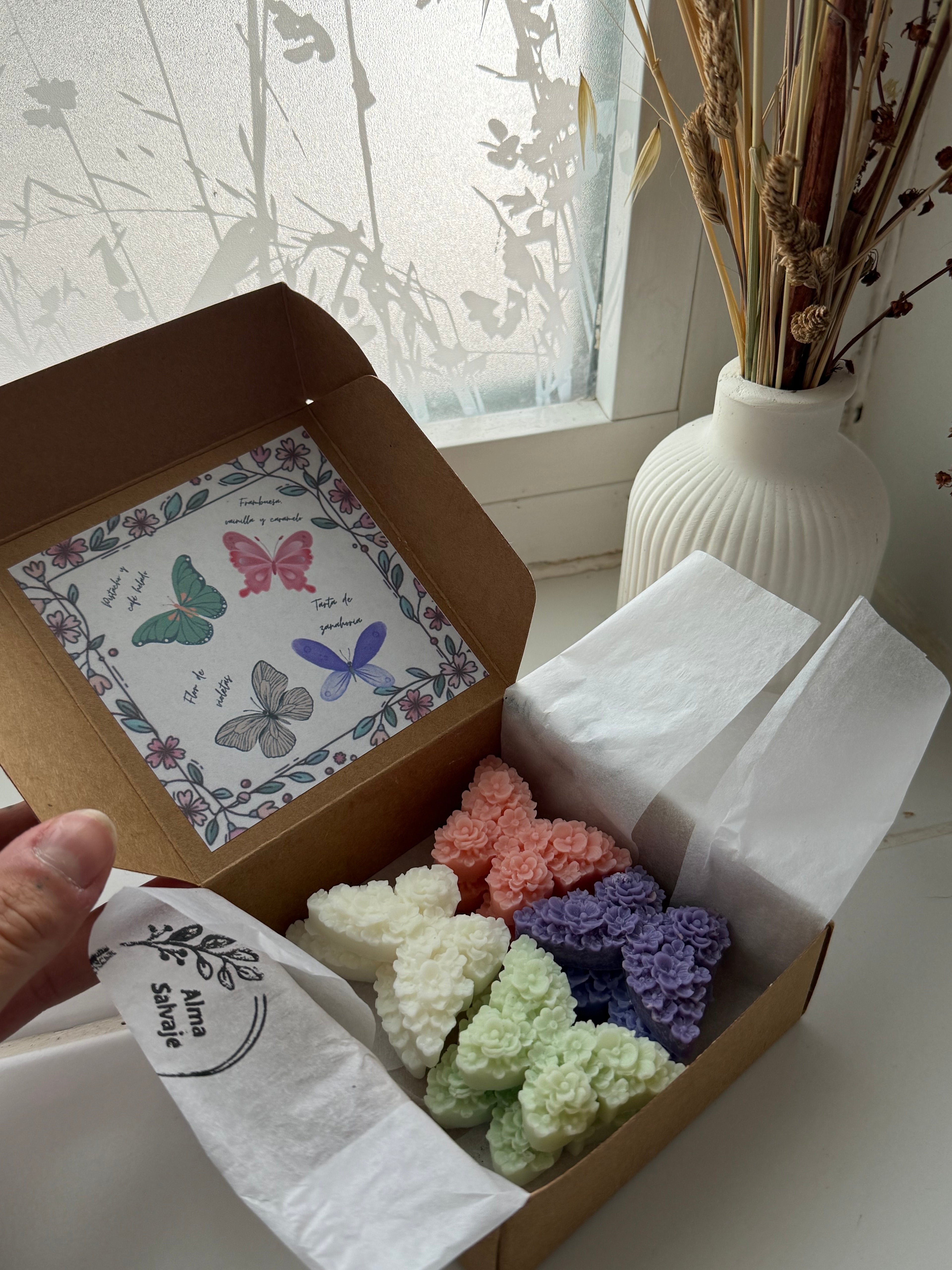 Waxmelts Pack Degustación