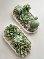 Bandeja de suculentas.