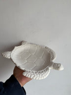 Bandeja de tortuga marina