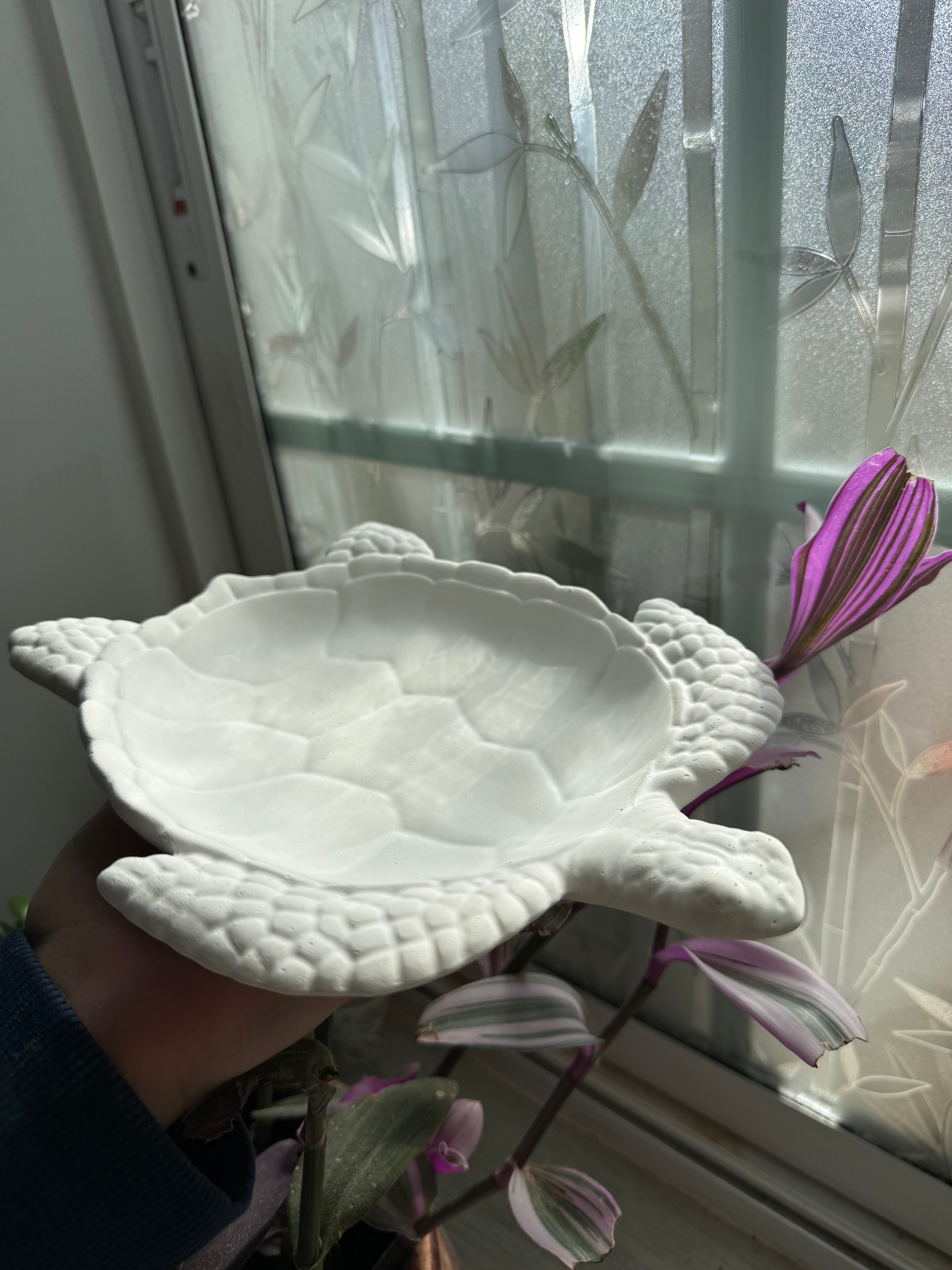 Bandeja de tortuga marina